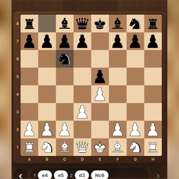 Chess gameplay
